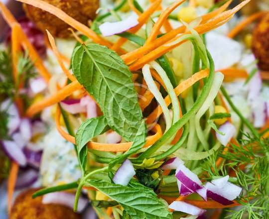 Vegetarian Salad with Garlic